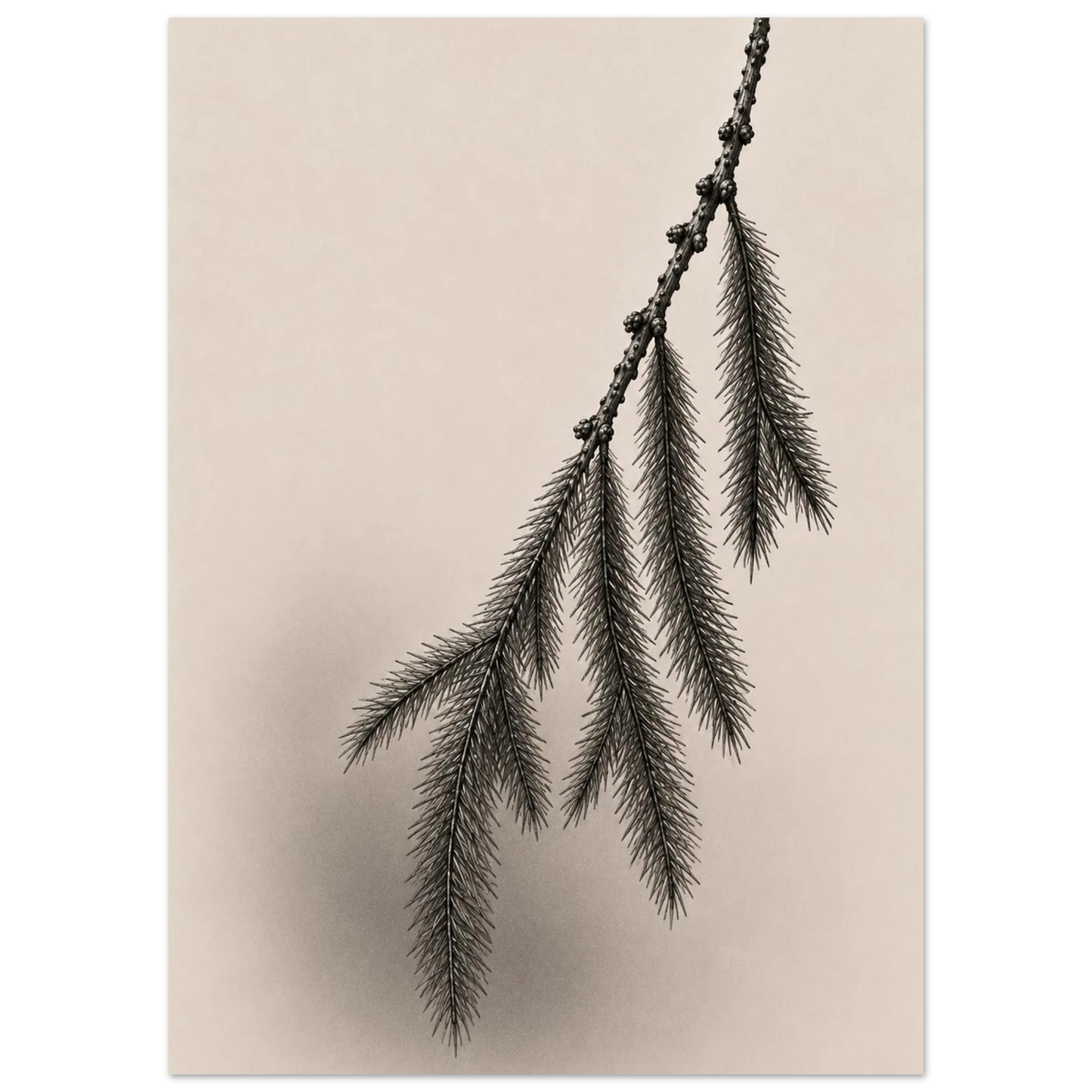 ca41dfaf-c525-4961-95f9-260876c697c0