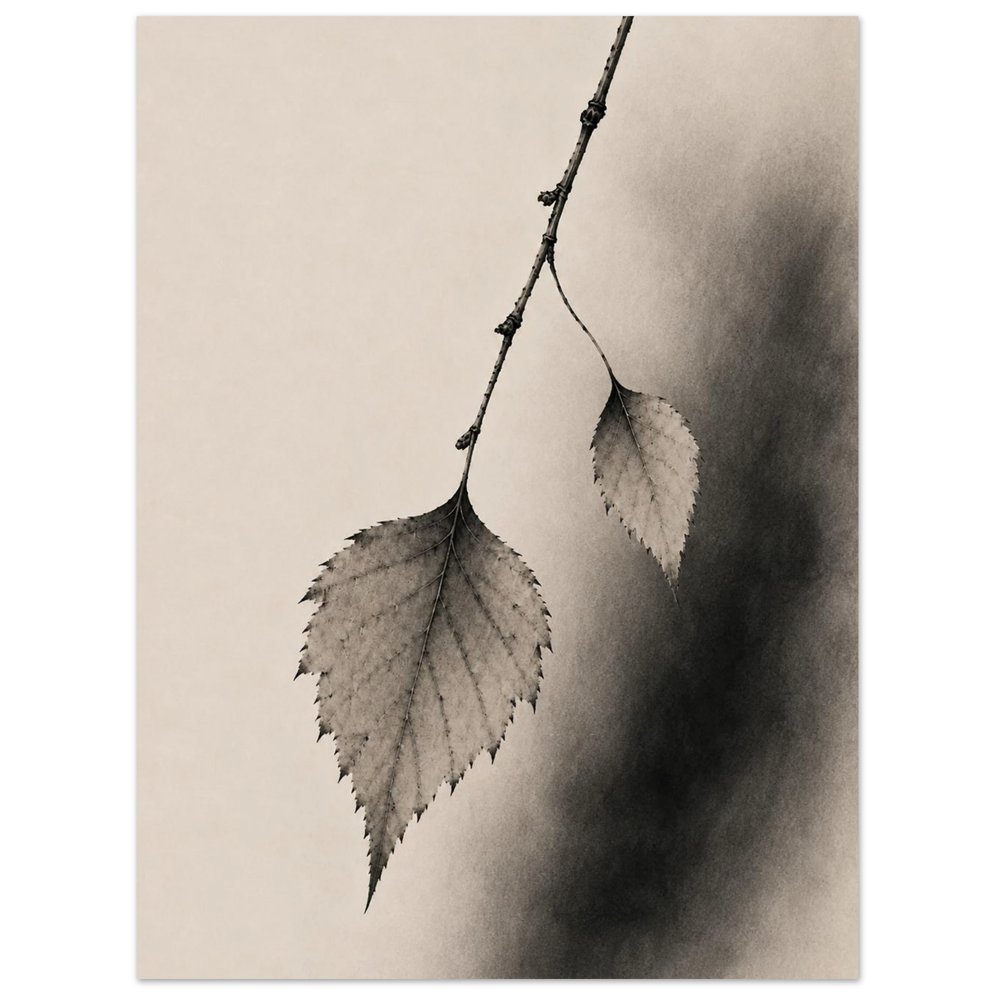 2600d9fe-cda9-4aaf-86f5-242b4af29255