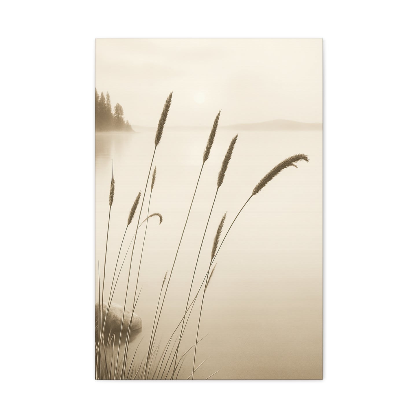 Canvas - Mist