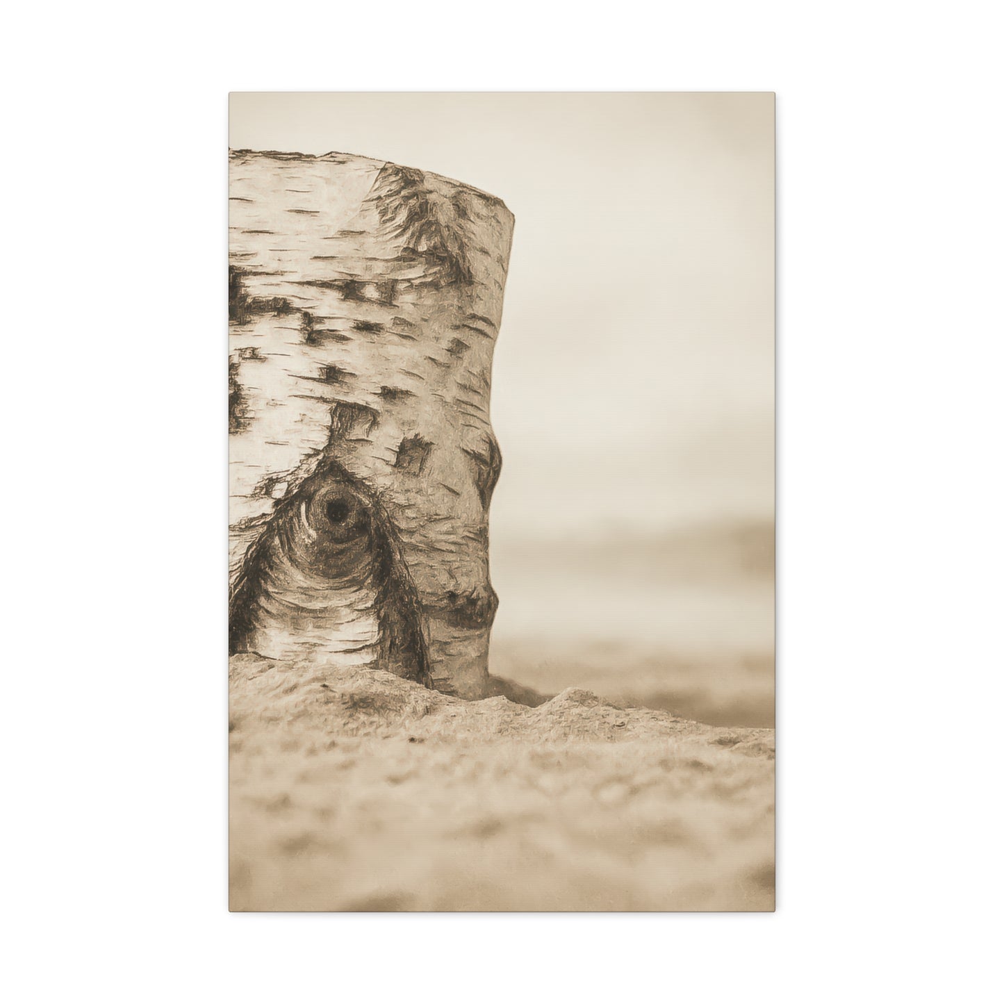 Canvas - Birch