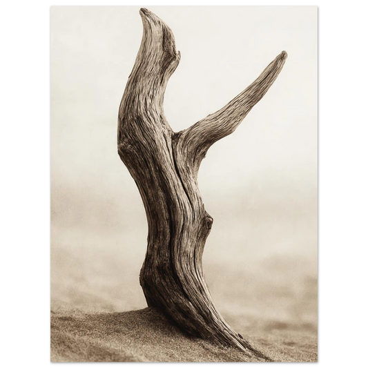 3c704e63-b285-4d78-b59f-c2eaa80ab570