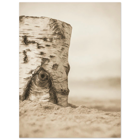 606ebc4d-7add-44ac-8a44-6d3d39fb2439