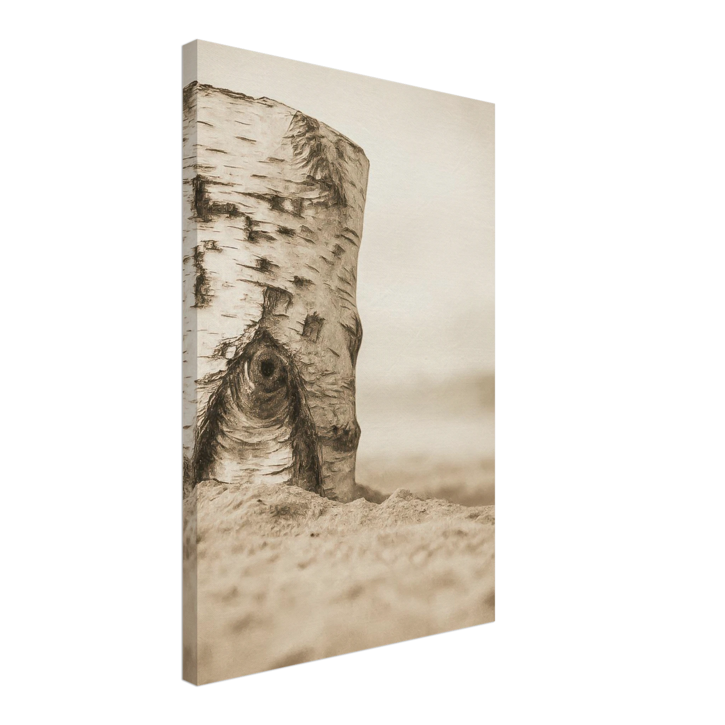 68a83648-3dba-4f31-b922-9fcf88c9b4cf