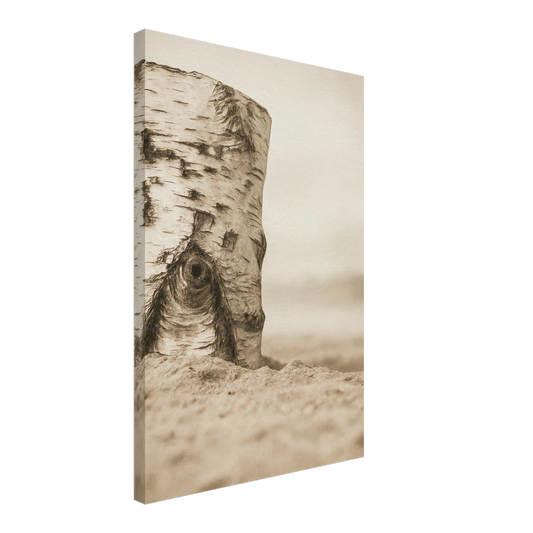 68a83648-3dba-4f31-b922-9fcf88c9b4cf