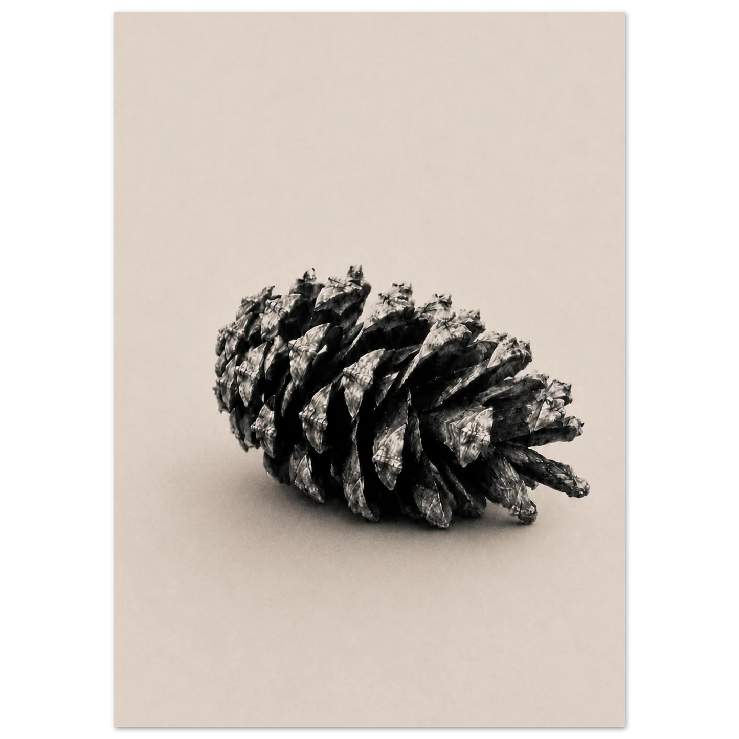 68e0a8e4-eae9-4765-a6b1-2efc237f49ac