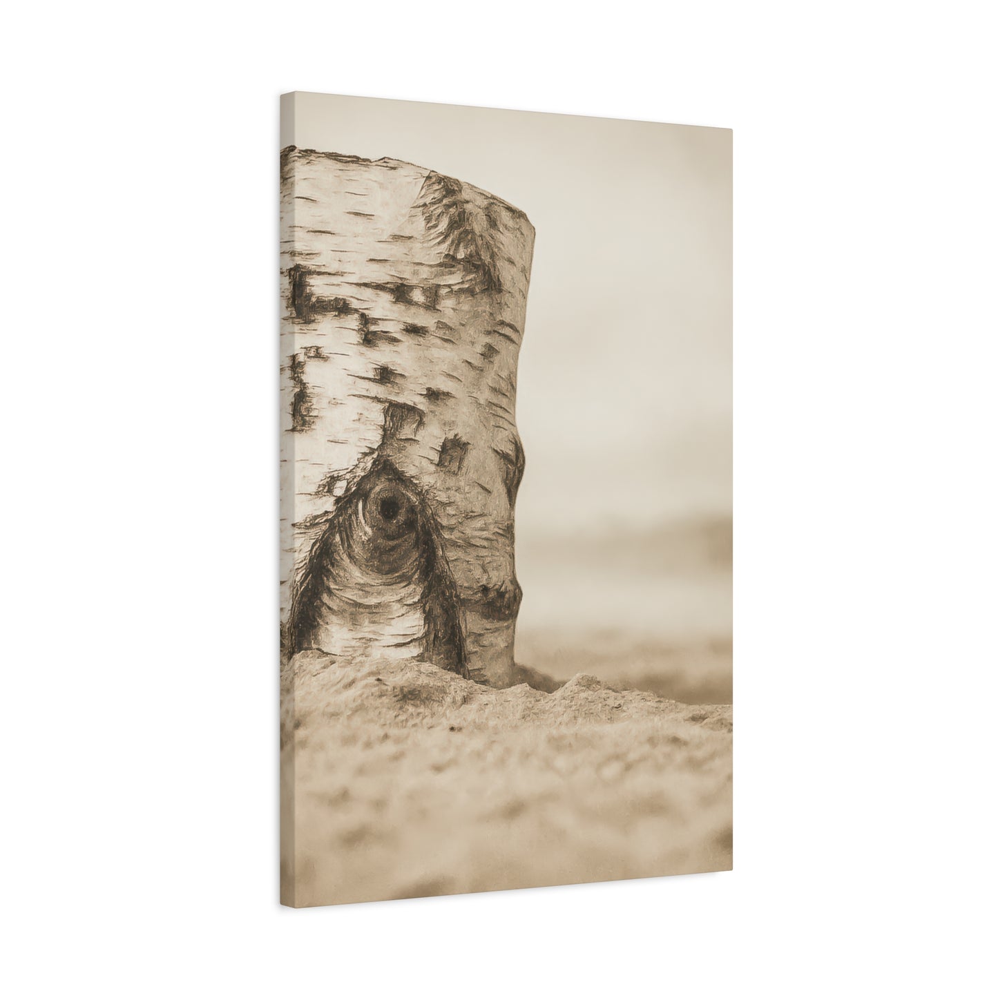 Canvas - Birch