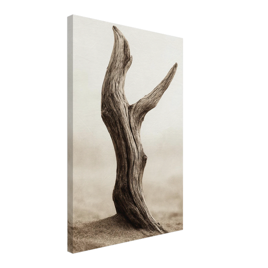 bb9216a9-ef83-4763-b2f6-dfc1752672eb